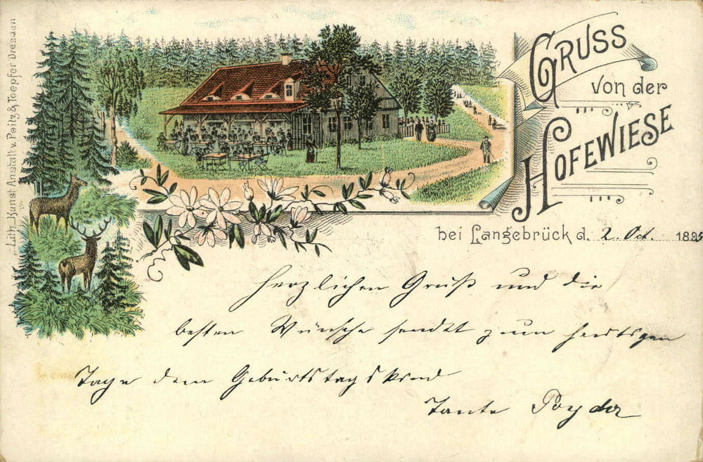 Gänsefuß 55