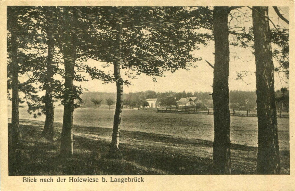 Gänsefuß - Hofewiese