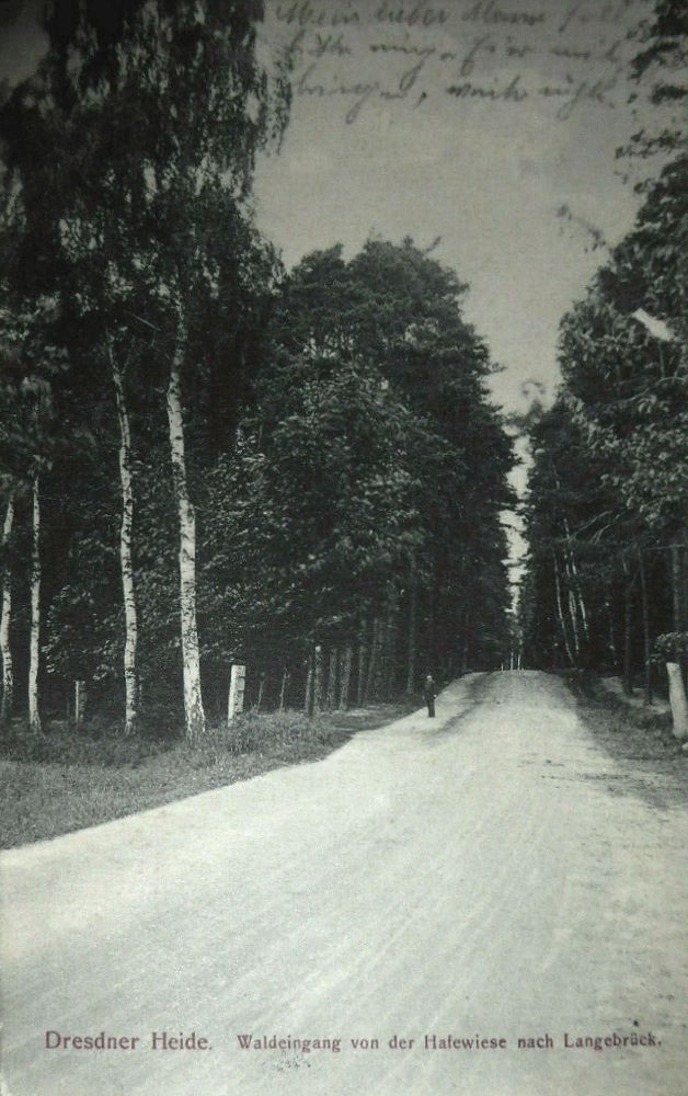 Gänsefuß - Hofewiese