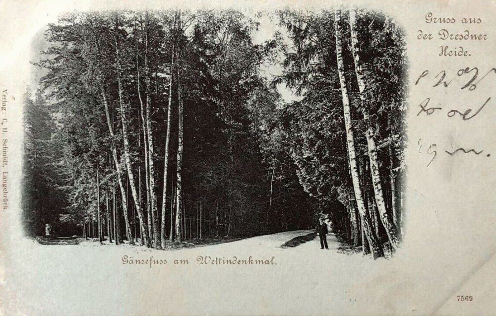 Gänsefuß - Hofewiese
