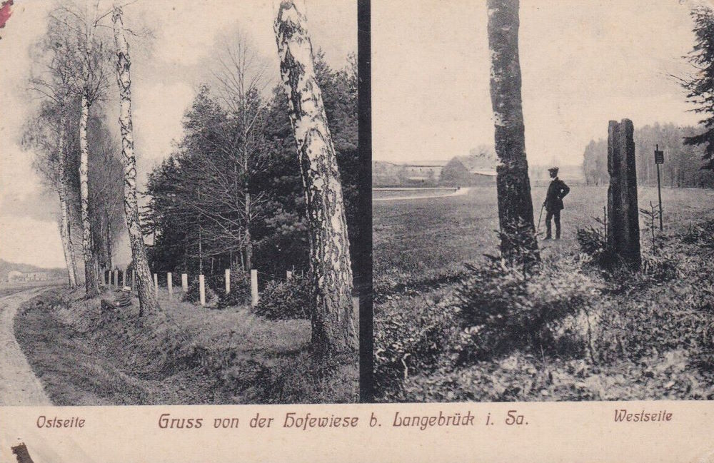 Gänsefuß - Hofewiese