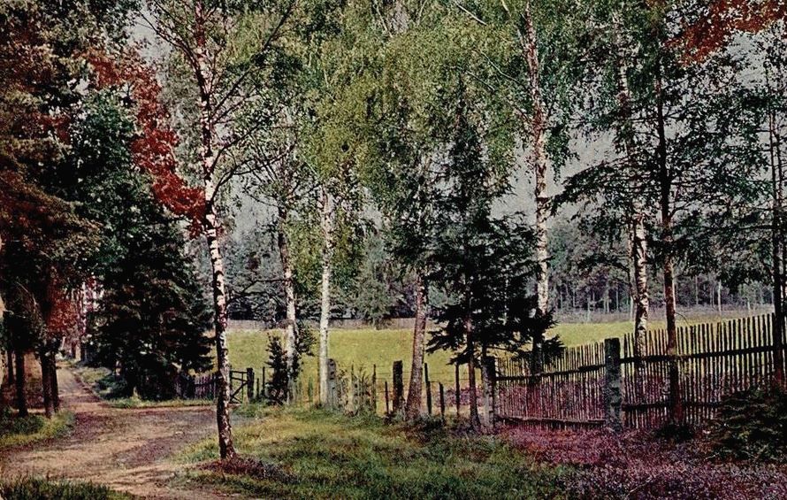 Kannenhenkel