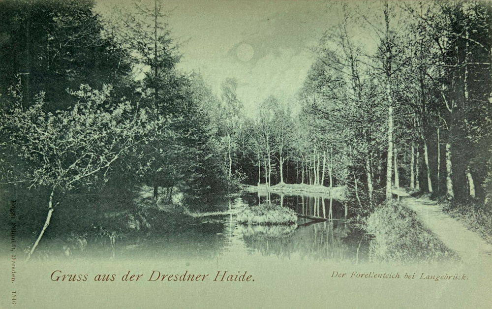 Kreuzringel
