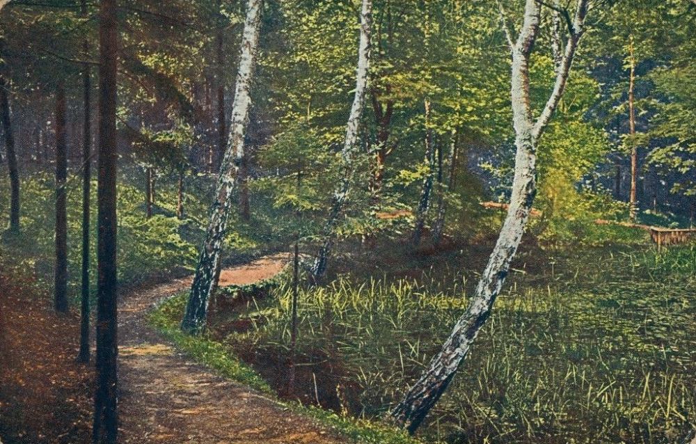 Kreuzringel