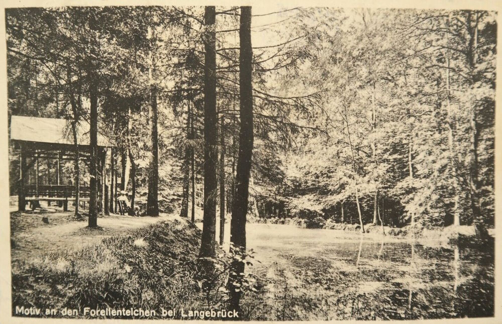Kreuzringel
