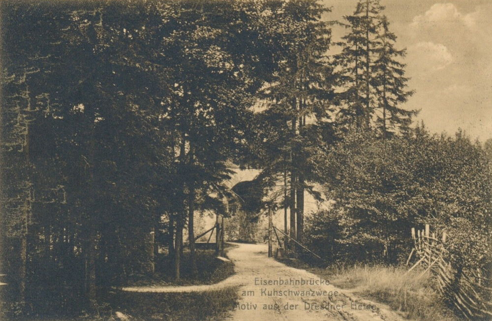 Kuhschwanz