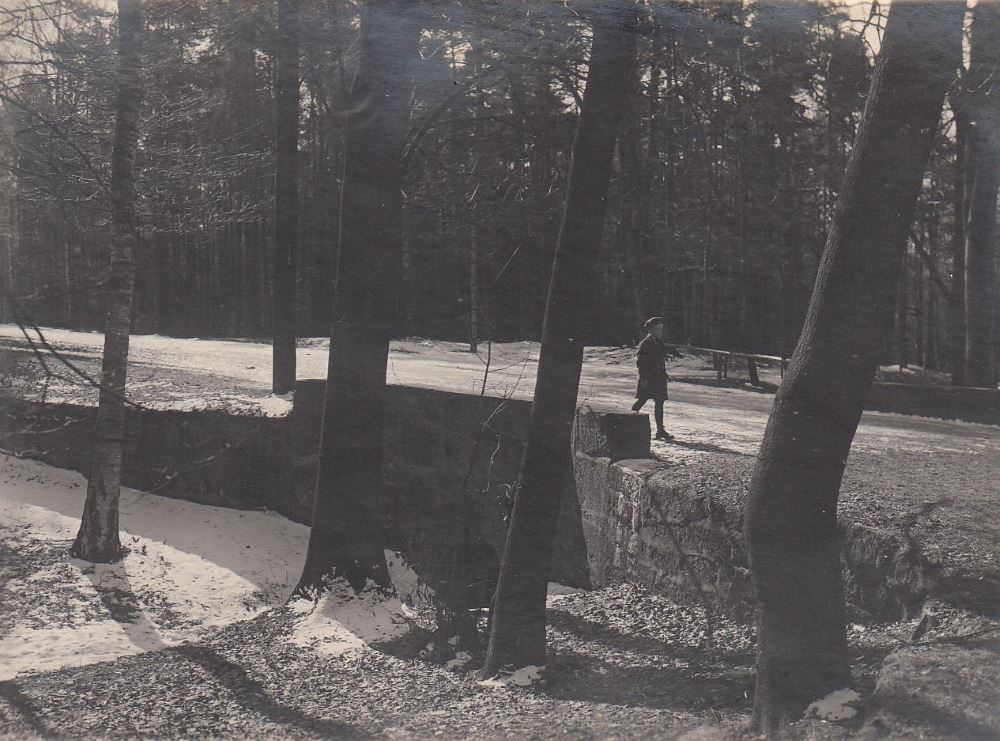 Moritzburg-Pillnitzer Weg