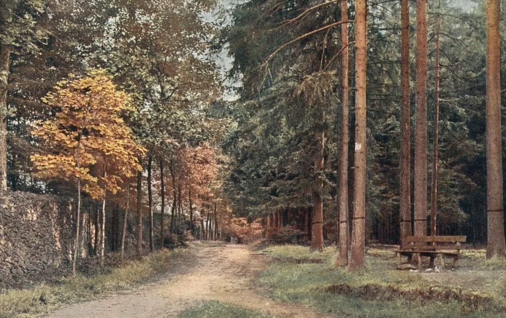 Ochsenkopf