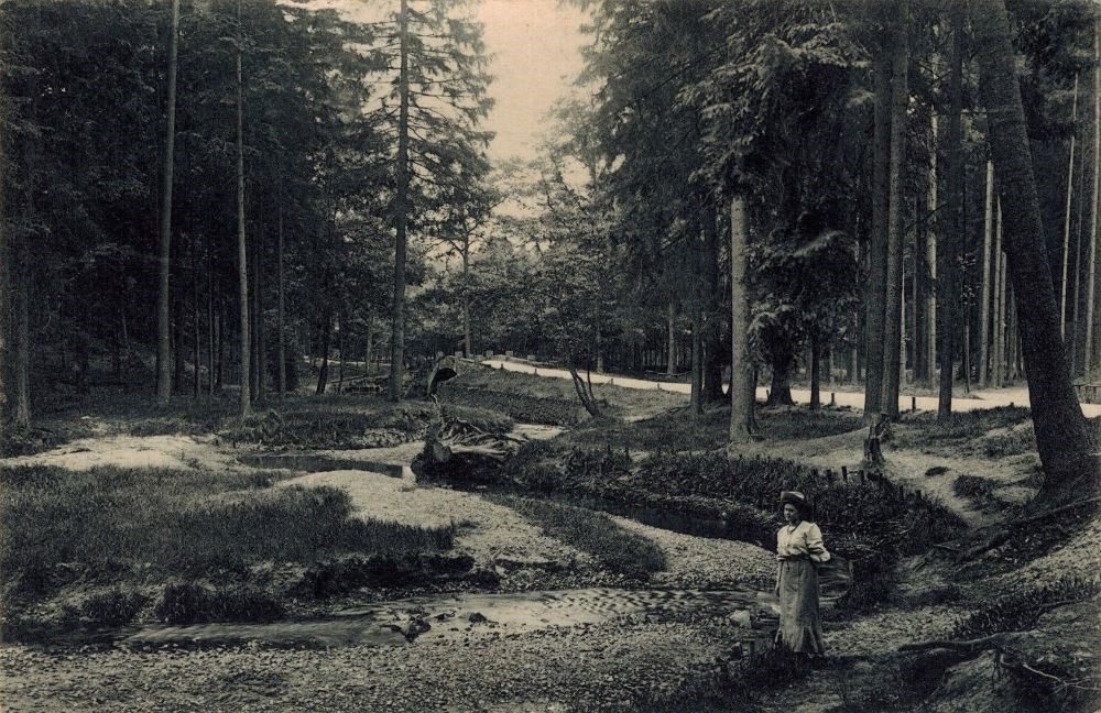 Prießnitzgrund
