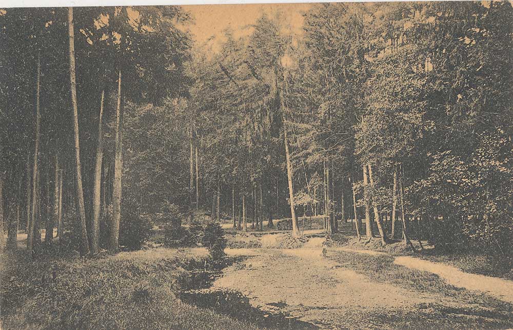 Prießnitzgrund