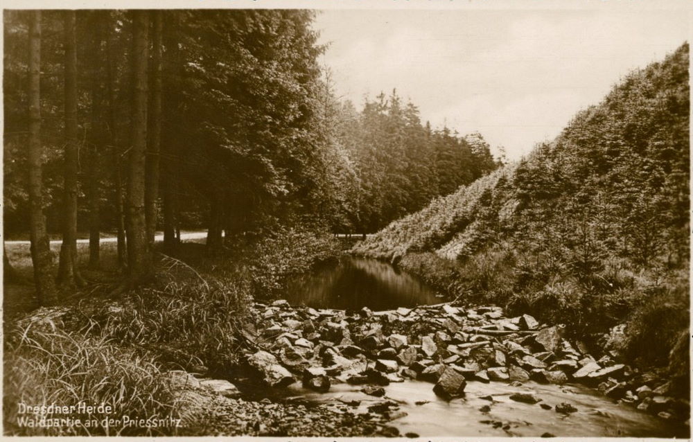 Prießnitzgrund