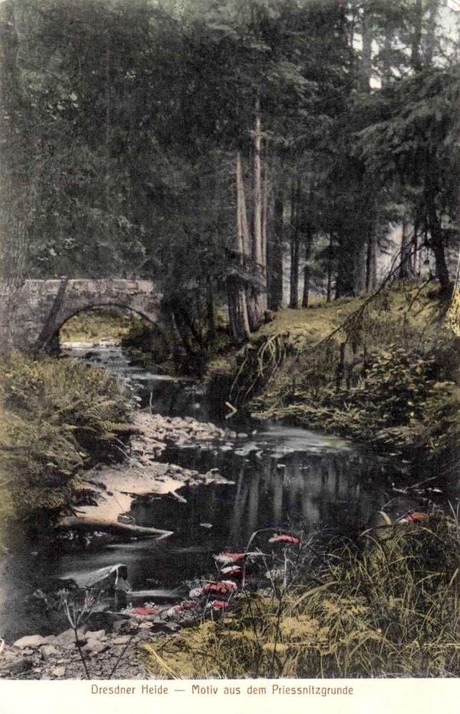 Prießnitzgrund