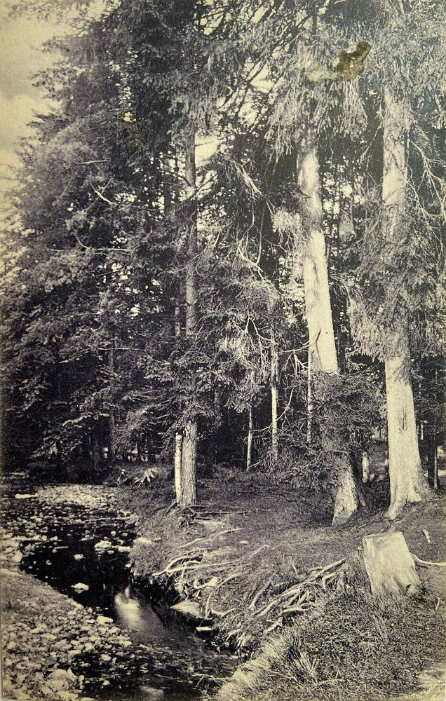 Prießnitzgrund