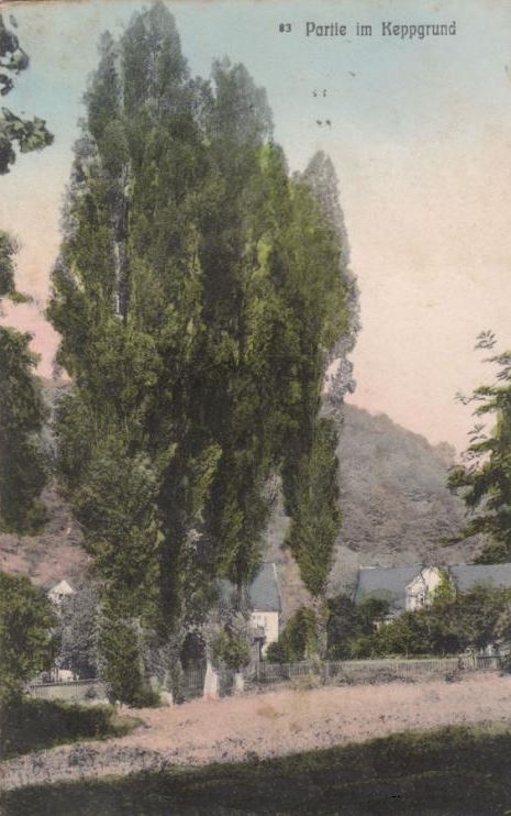 Keppgrund