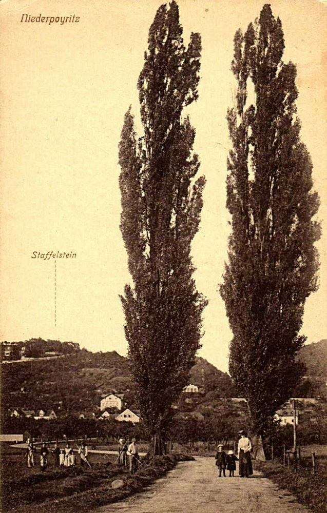 Laubegaster Straße