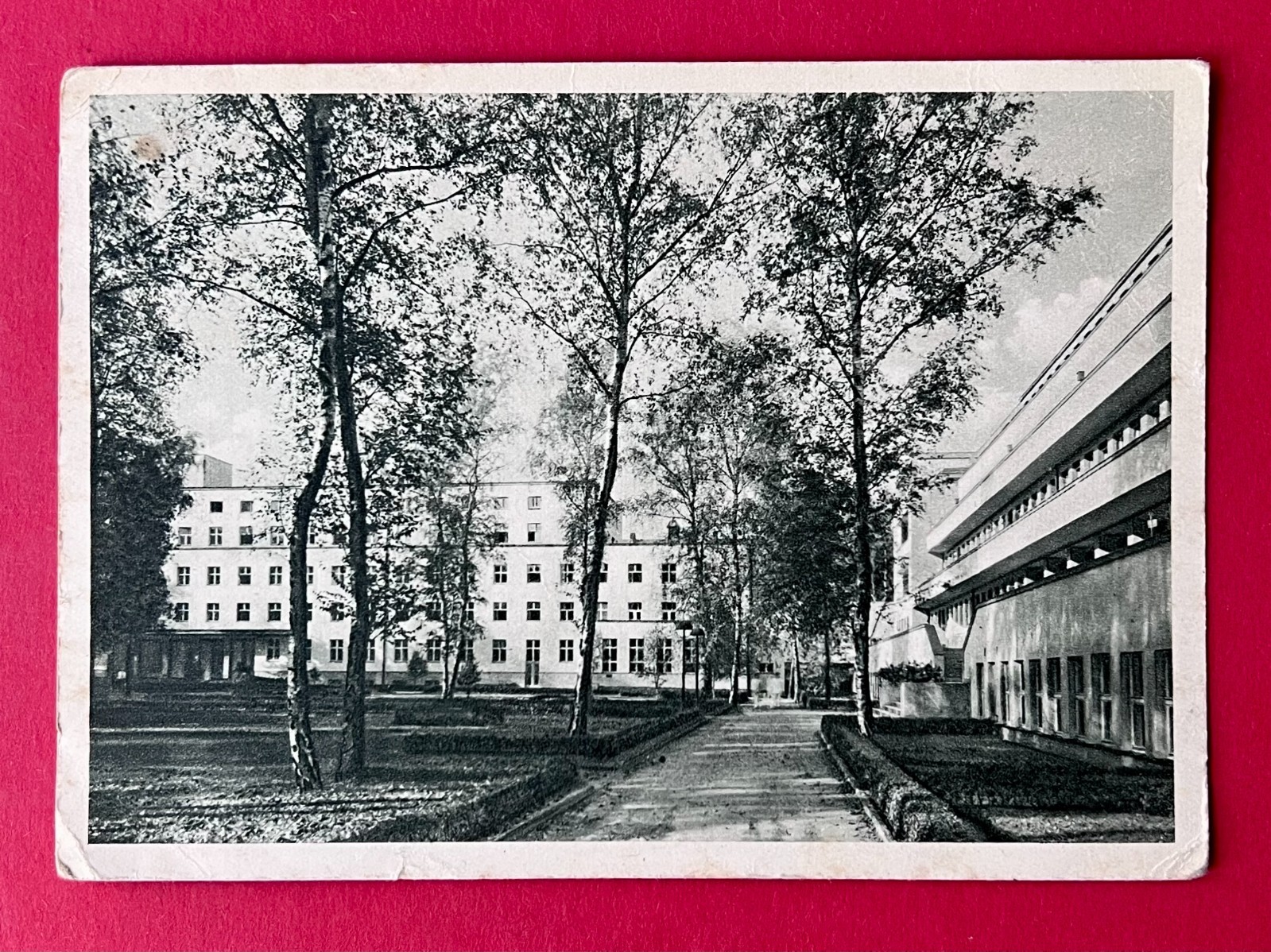 Pfotenhauerstraße 92
