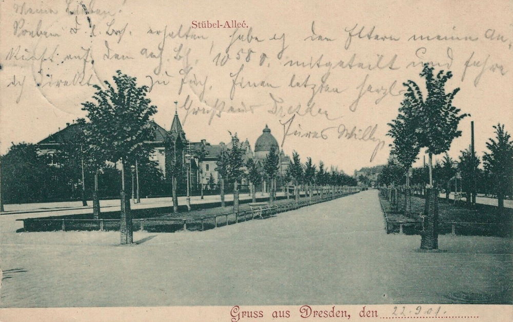 Stübelallee