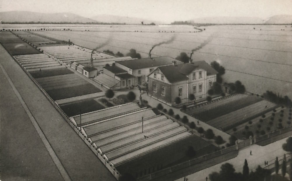 Spitzhausstraße 21