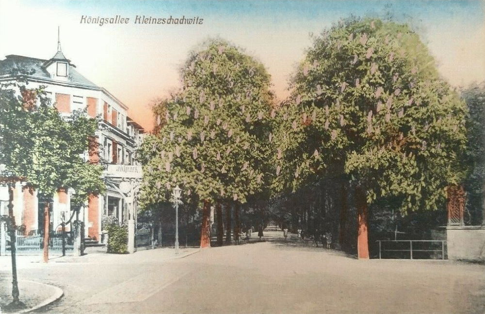 Berthold-Haupt-Straße 91