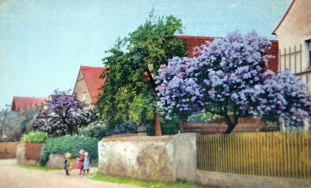 Altklotzsche
