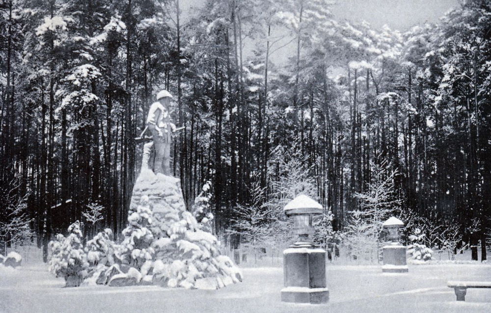 Waldpark Klotzsche