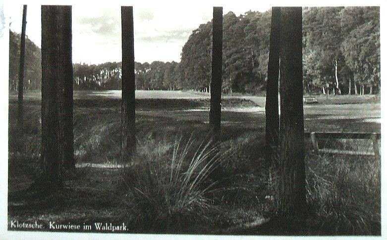 Waldpark Klotzsche