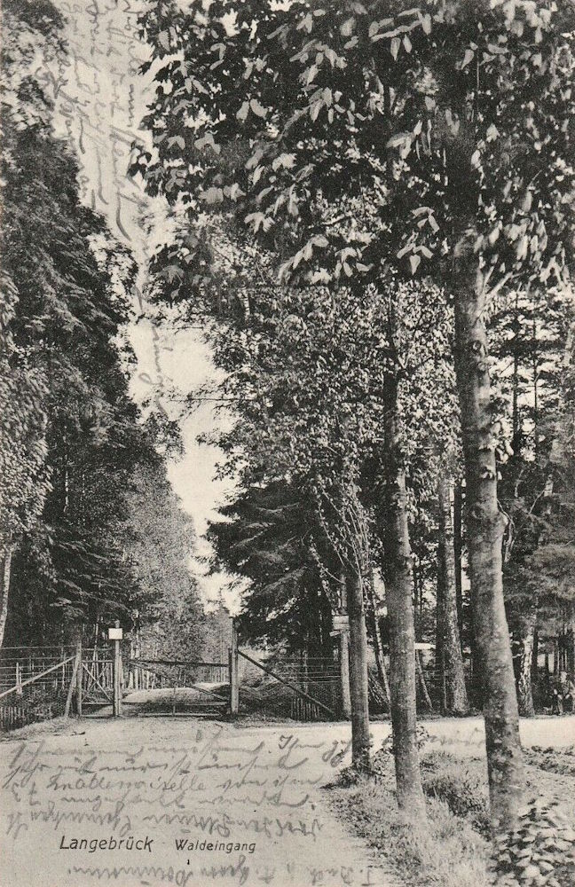 Am Gänsefuß / Ochsenkopf