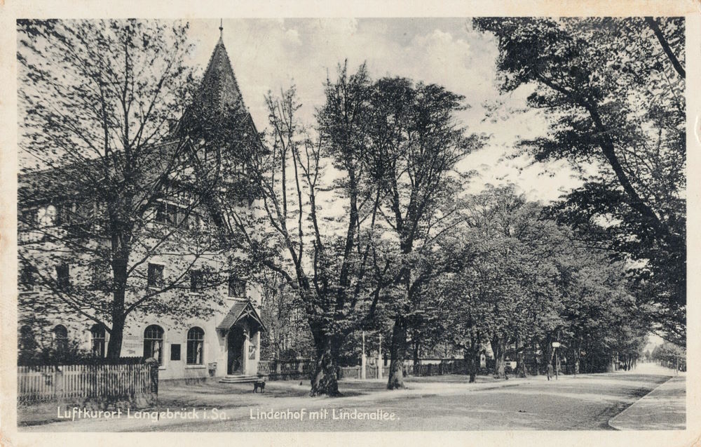 Dresdner Straße 36