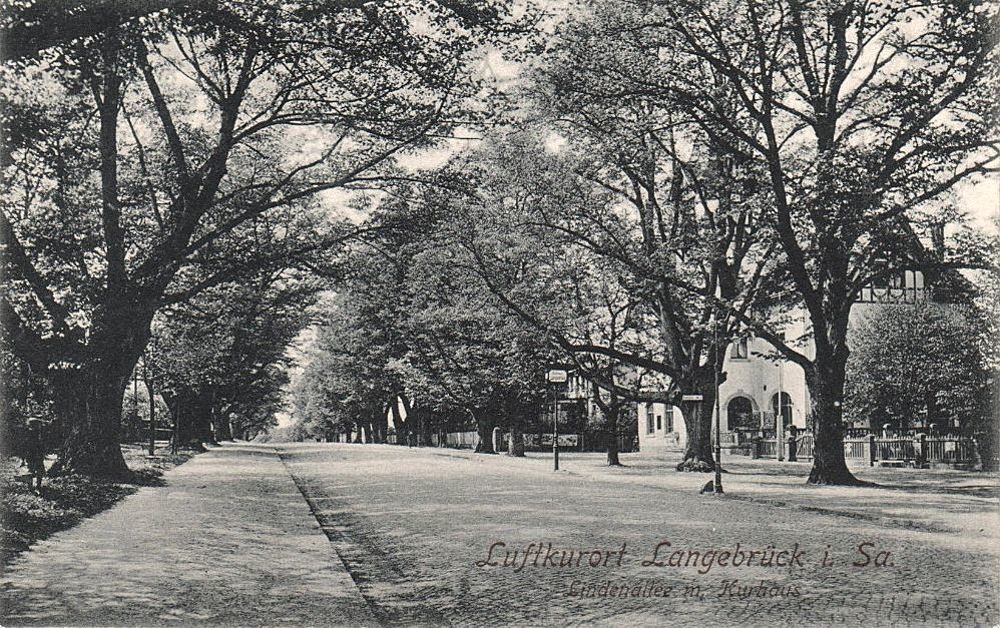 Dresdner Straße