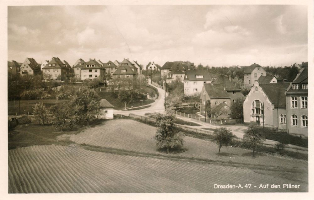 Auf dem Pläner