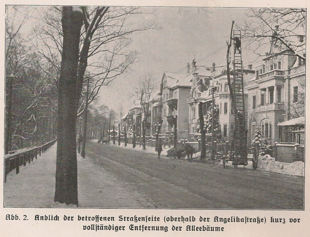 Bautzner Straße 189 (Dresdner Straße 15)
