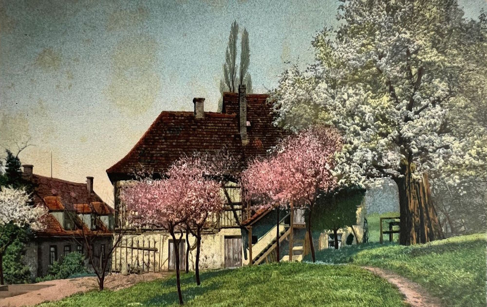 Robert-Diez-Straße 2