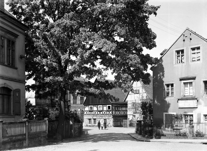 Friedrich-Wieck-Straße 12