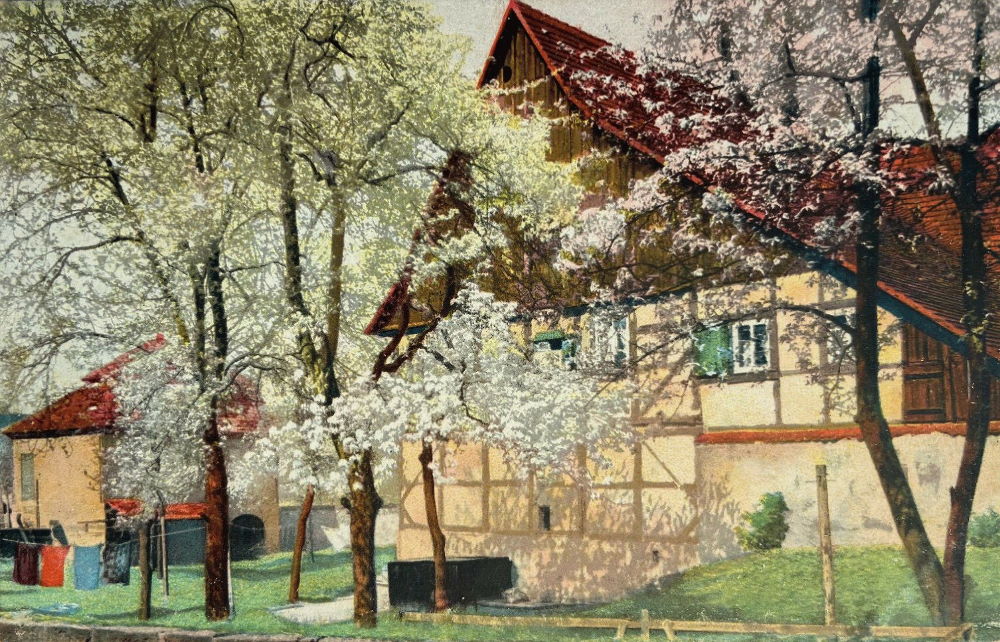 Friedrich-Wieck-Straße 45