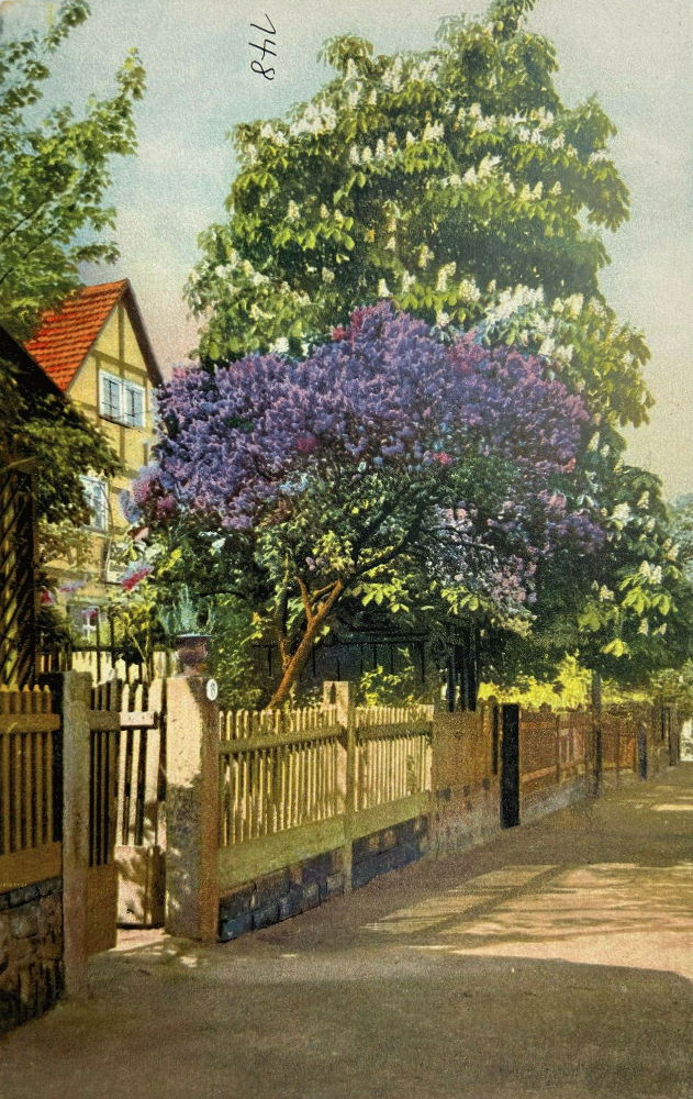 Grundstraße 6