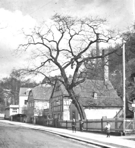 Grundstraße 52