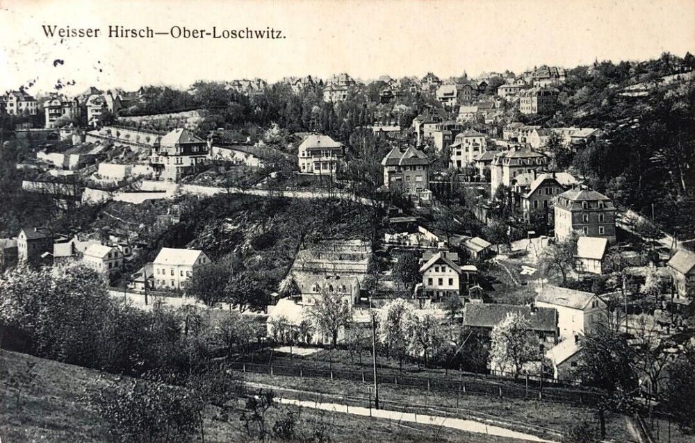 Steglichstraße