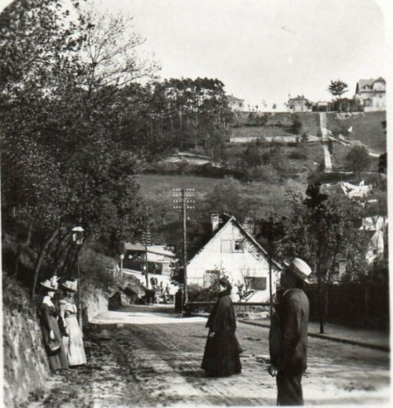 Steglichstraße 1
