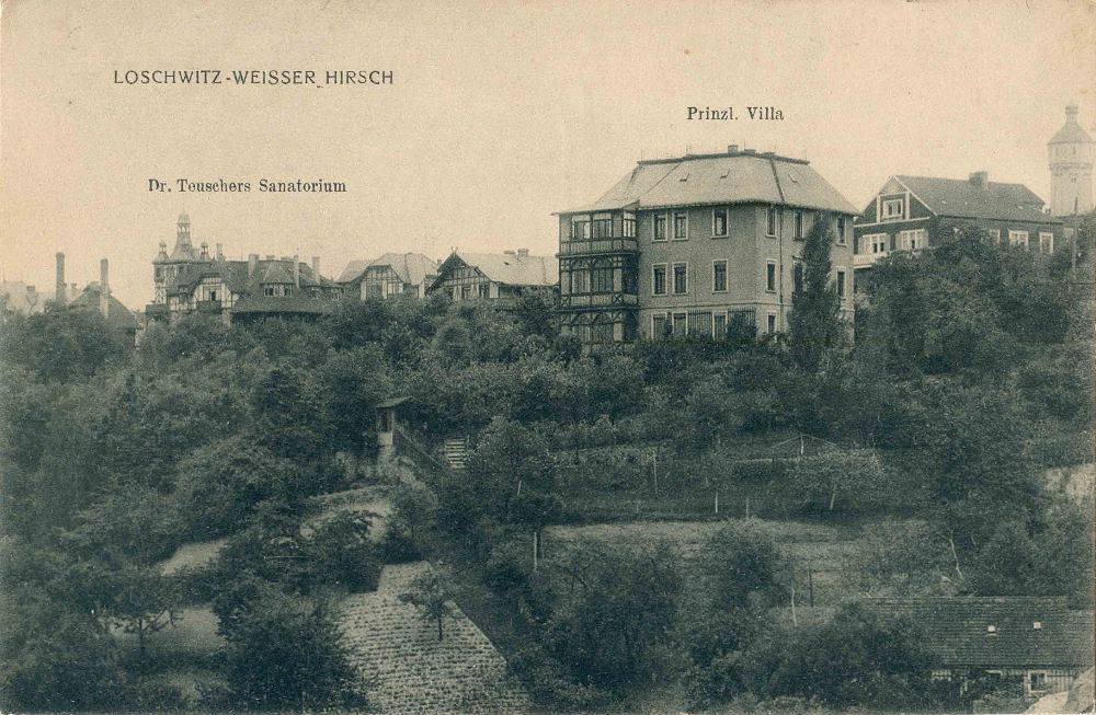 Straußstraße 6