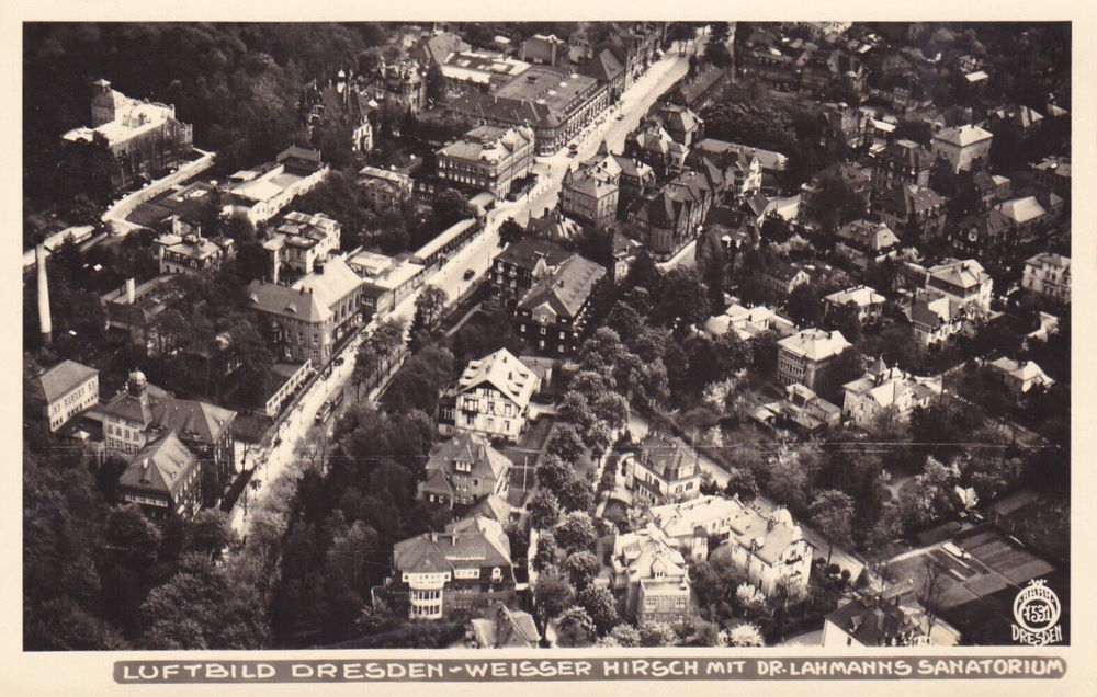 Luftbild Weißer Hirsch