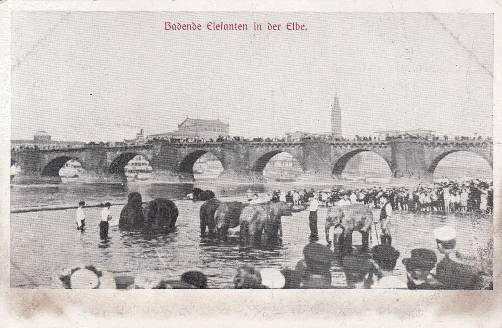 Elbe
