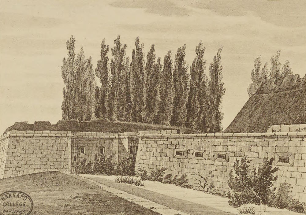 Altes Königsufer