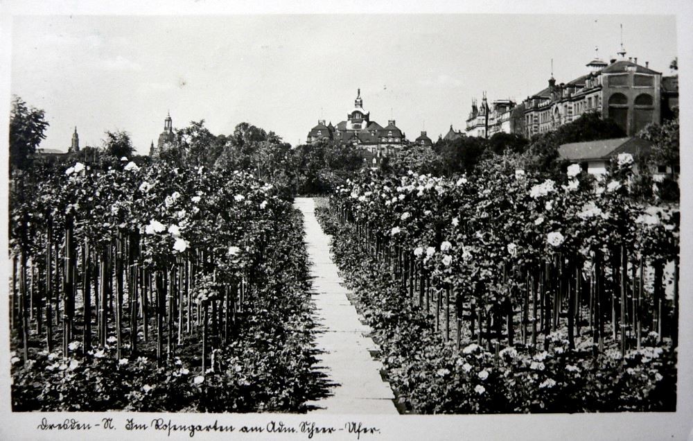 Neues Königsufer