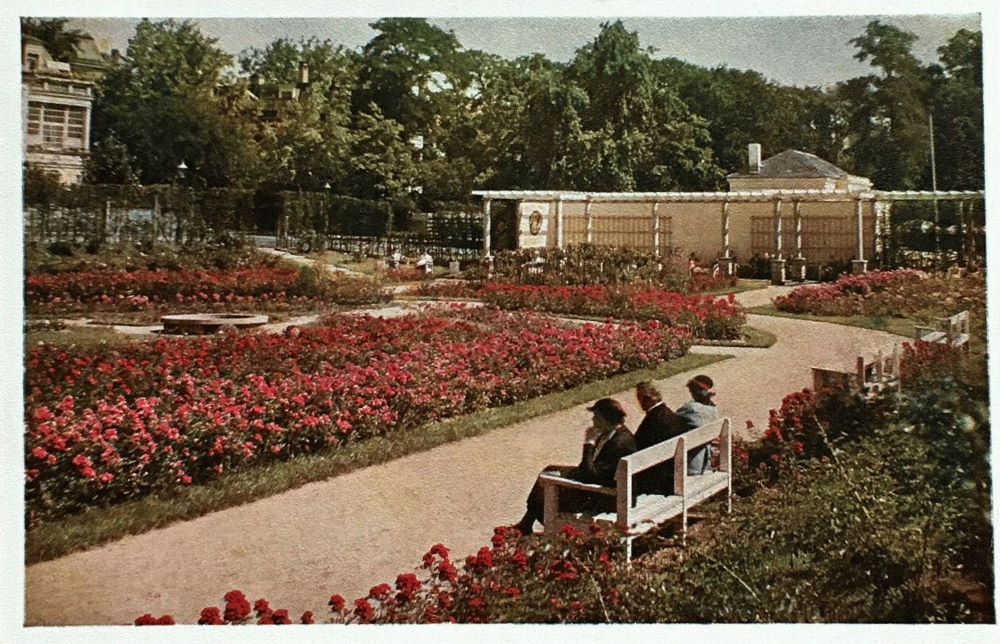 Neues Königsufer