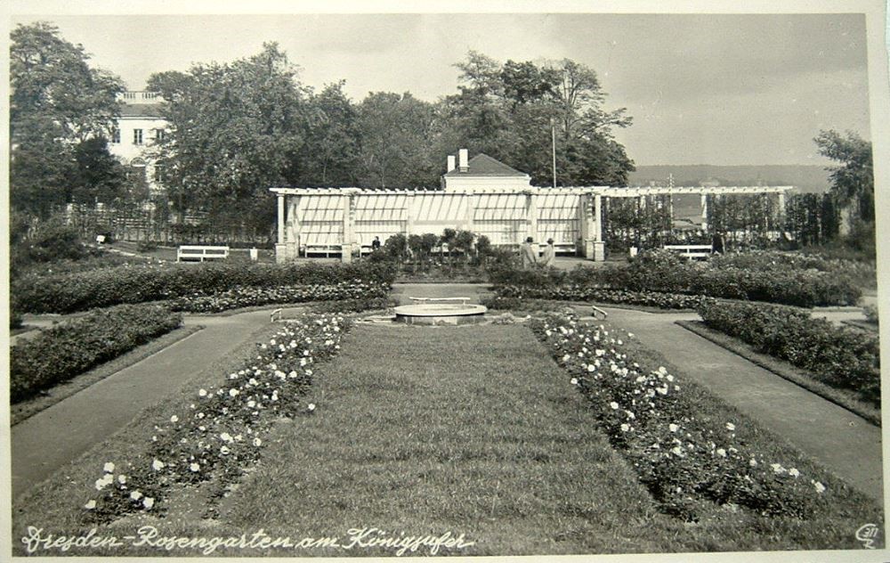 Neues Königsufer