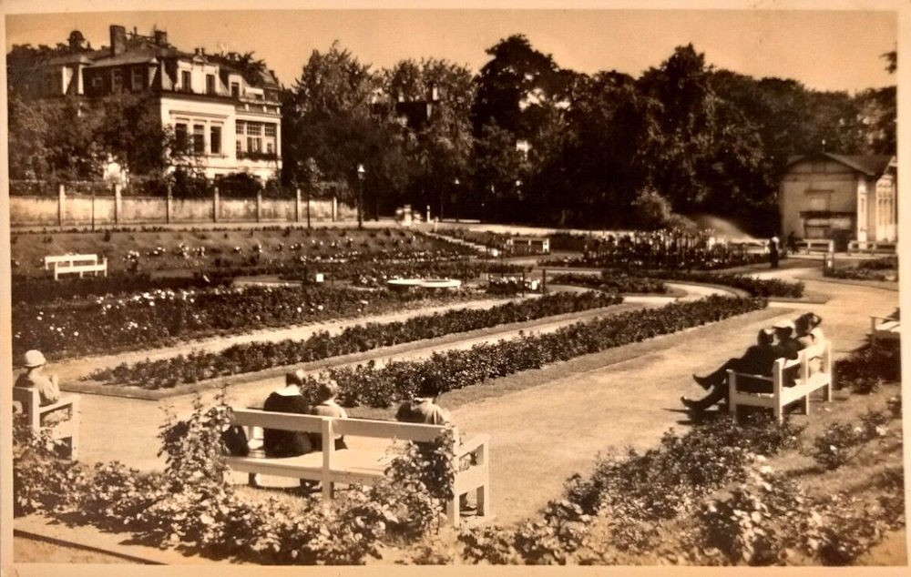 Neues Königsufer