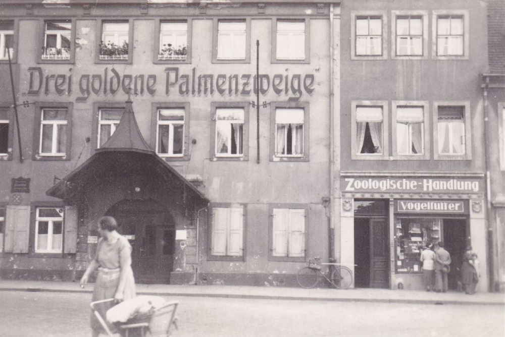 Palaisplatz 7