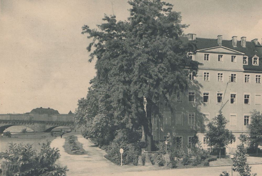 Wiesentorstraße 1