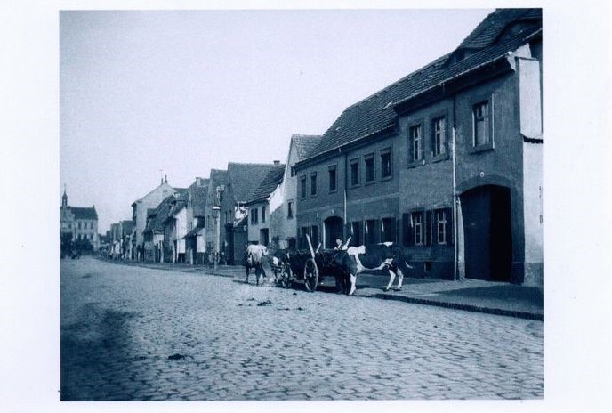Moritzburger Straße