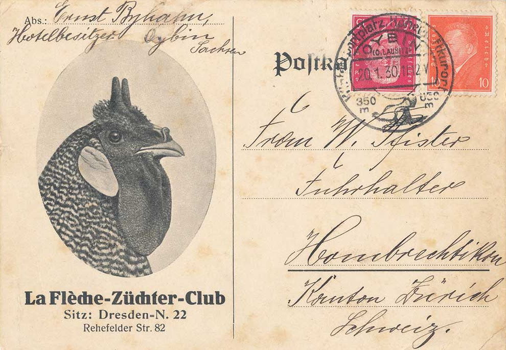 Rehefelder Straße 82